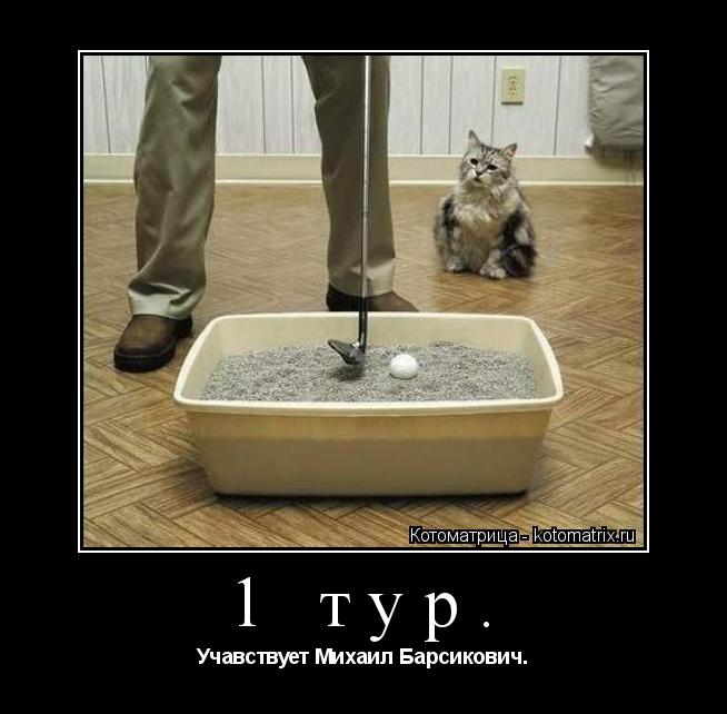 1 тур. Учавствует Михаил Барсикович.... Котоматрица: 1 тур. Учавствует Михаил Барсикович.