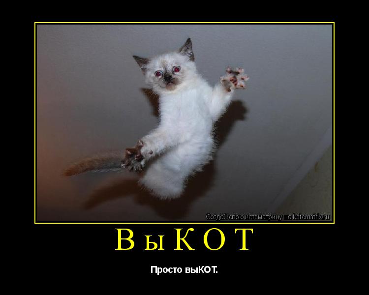 ВыКОТ Просто выКОТ.... Котоматрица: ВыКОТ Просто выКОТ.