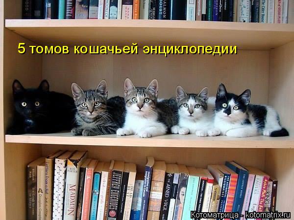 5 томов кошачьей энциклопедии... Котоматрица: 5 томов кошачьей энциклопедии
