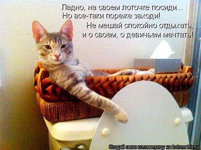 Ладно, на своем лоточке посиди... Но все-таки пореже заходи! Не мешай спокойно отдыхать, и о своем, ... Котоматрица: Ладно, на своем лоточке посиди... Но все-таки пореже заходи! Не мешай спокойно отдыхать, и о своем, о девичьем мечтать!