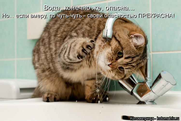 Но... если вмеру, по чуть-чуть - своей опасностью ПРЕКРАСНА! Вода, конечно же, опасна...... Котоматрица: Но... если вмеру, по чуть-чуть - своей опасностью ПРЕКРАСНА! Вода, конечно же, опасна...