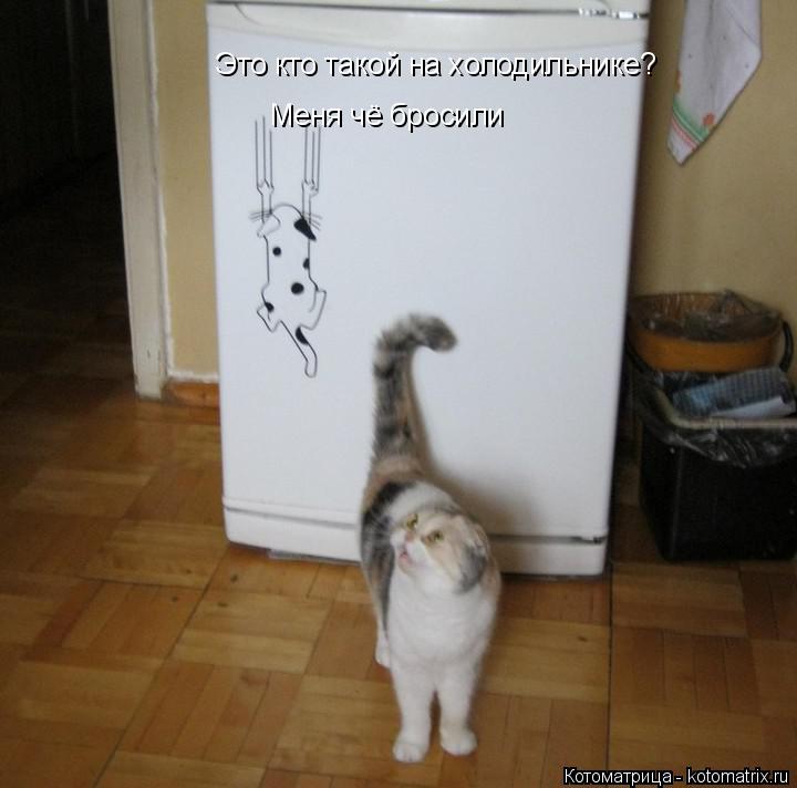 Это кто такой на холодильнике? Меня чё бросили... Котоматрица: Это кто такой на холодильнике? Меня чё бросили