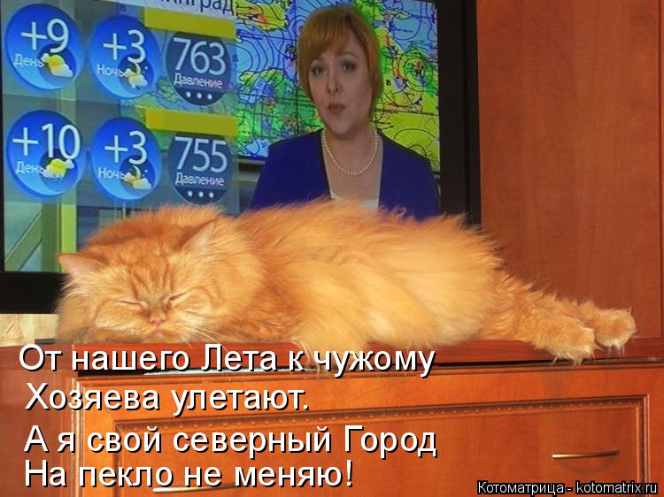 От нашего Лета к чужому На пекло не меняю! А я свой северный Город Хозяева улетают.... Котоматрица: От нашего Лета к чужому На пекло не меняю! А я свой северный Город Хозяева улетают.