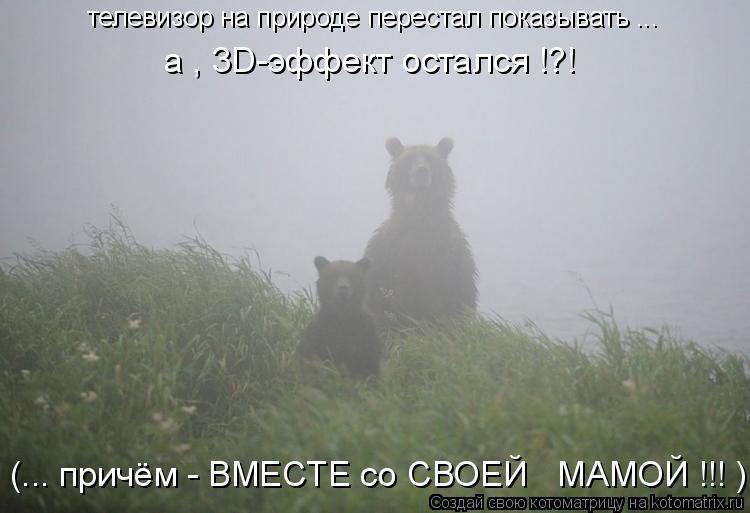 телевизор на природе перестал показывать ... а , 3D-эффект остался !?! (... причём - ВМЕСТЕ со СВОЕЙ ... Котоматрица: телевизор на природе перестал показывать ... а , 3D-эффект остался !?! (... причём - ВМЕСТЕ со СВОЕЙ МАМОЙ !!! )