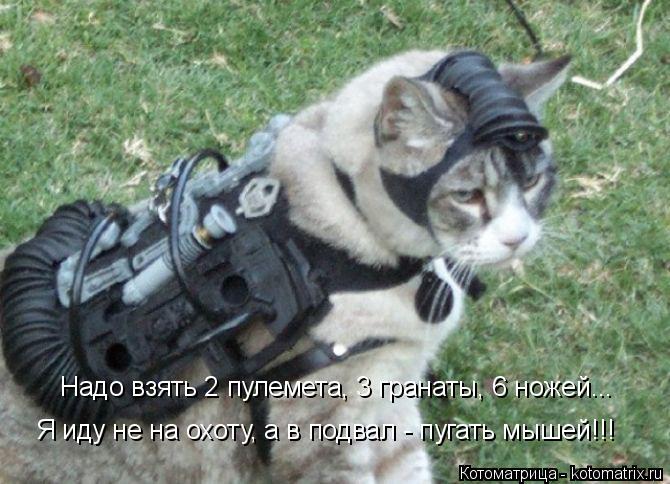 Надо взять 2 пулемета, 3 гранаты, 6 ножей... Я иду не на охоту, а в подвал - пугать мышей!!!... Котоматрица: Надо взять 2 пулемета, 3 гранаты, 6 ножей... Я иду не на охоту, а в подвал - пугать мышей!!!