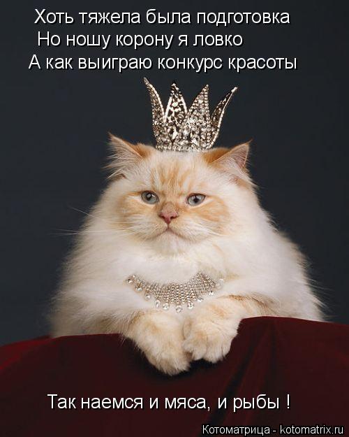 Хоть тяжела была подготовка Но ношу корону я ловко А как выиграю конкурс красоты Так наемся и мяса, ... Котоматрица: Хоть тяжела была подготовка Но ношу корону я ловко А как выиграю конкурс красоты Так наемся и мяса, и рыбы !