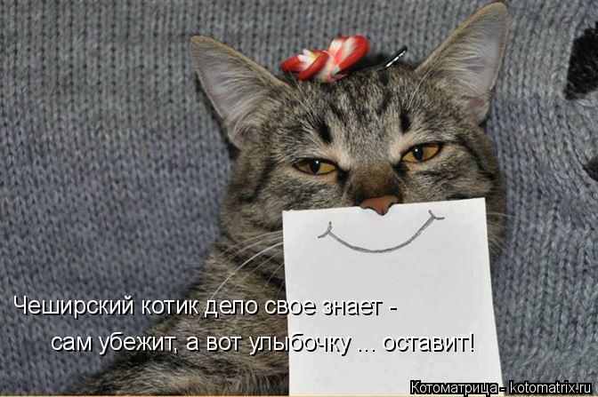 Чеширский котик дело свое знает - сам убежит, а вот улыбочку ... оставит!... Котоматрица: Чеширский котик дело свое знает - сам убежит, а вот улыбочку ... оставит!