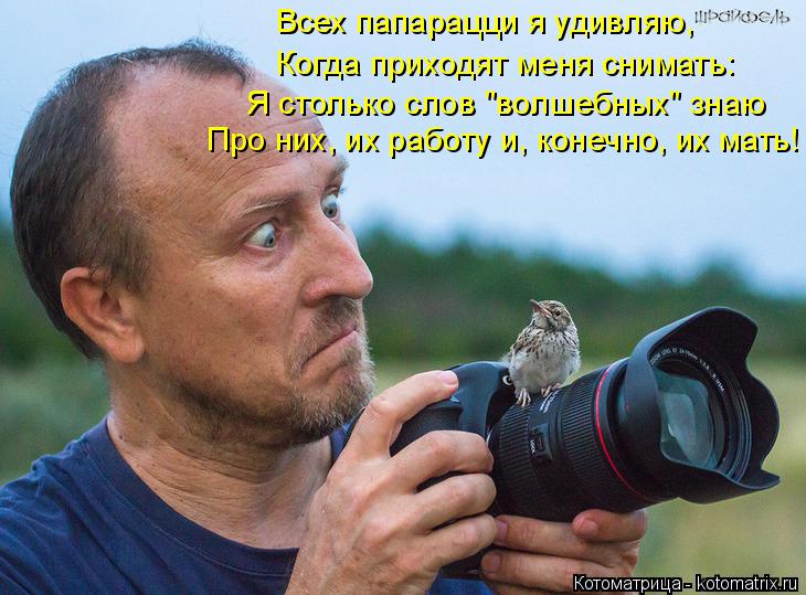 Всех папарацци я удивляю, Когда приходят меня снимать: Я столько слов "волшебных" знаю Про них, их р... Котоматрица: Всех папарацци я удивляю, Когда приходят меня снимать: Я столько слов "волшебных" знаю Про них, их работу и, конечно, их мать!