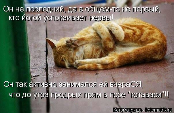 Он не последний, да в общем-то не первый, кто йогой успокаивает нервы! Он так активно занимался ей вч... Котоматрица: Он не последний, да в общем-то не первый, кто йогой успокаивает нервы! Он так активно занимался ей вчераСЯ, что до утра продрых прям в позе "ко