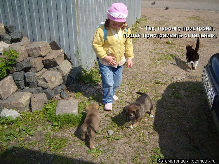 - Так, парочку пристроил, пошел пристраивать остальных.... Котоматрица: - Так, парочку пристроил, пошел пристраивать остальных.