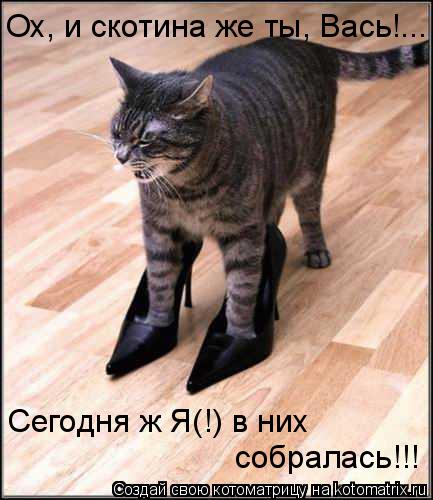 Ох, и скотина же ты, Вась!... Сегодня ж Я(!) в них собралась!!!... Котоматрица: Ох, и скотина же ты, Вась!... Сегодня ж Я(!) в них собралась!!!