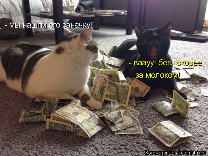 - мы нашли его заначку! - ваауу! беги скорее за молоком!... Котоматрица: - мы нашли его заначку! - ваауу! беги скорее за молоком!