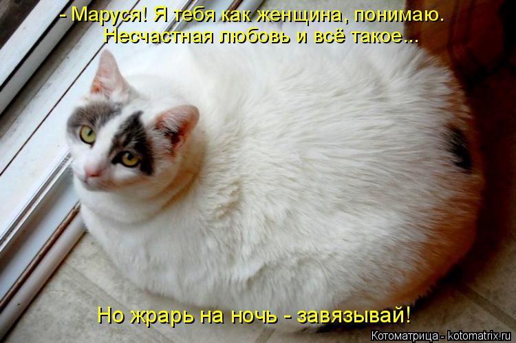 - Маруся! Я тебя как женщина, понимаю. Несчастная любовь и всё такое... Но жрарь на ночь - завязывай... Котоматрица: - Маруся! Я тебя как женщина, понимаю. Несчастная любовь и всё такое... Но жрарь на ночь - завязывай!