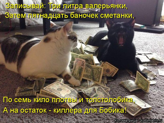 Записывай: Три литра валерьянки, Затем пятнадцать баночек сметанки, По семь кило плотвы и толстолобик... Котоматрица: Записывай: Три литра валерьянки, Затем пятнадцать баночек сметанки, По семь кило плотвы и толстолобика, А на остаток - киллера для Бобика!