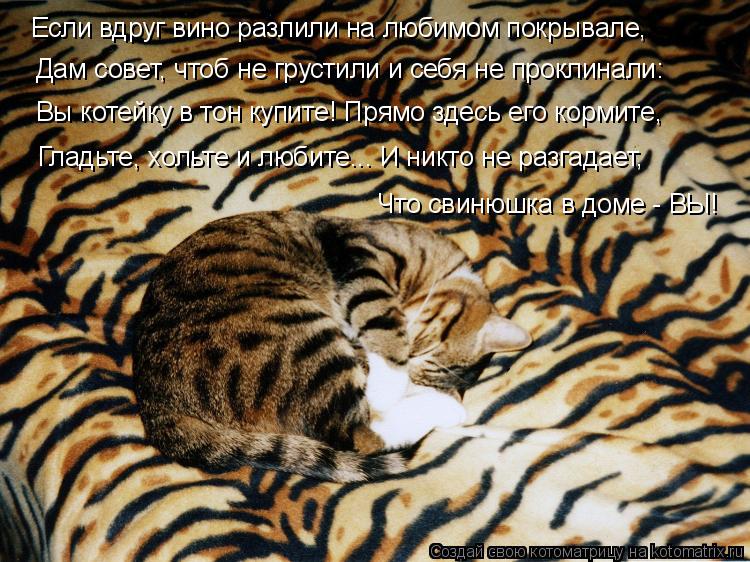 Если вдруг вино разлили на любимом покрывале, Дам совет, чтоб не грустили и себя не проклинали: Вы ко... Котоматрица: Если вдруг вино разлили на любимом покрывале, Дам совет, чтоб не грустили и себя не проклинали: Вы котейку в тон купите! Прямо здесь его корм