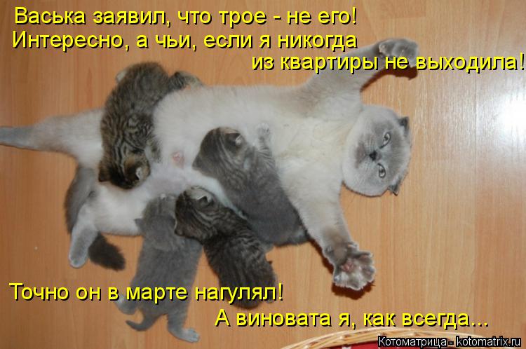 Васька заявил, что трое - не его! Интересно, а чьи, если я никогда из квартиры не выходила! Точно он... Котоматрица: Васька заявил, что трое - не его! Интересно, а чьи, если я никогда из квартиры не выходила! Точно он в марте нагулял! А виновата я, как всегда...
