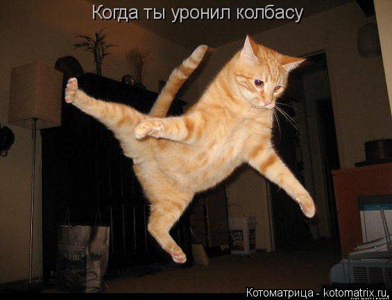Когда ты уронил колбасу... Котоматрица: Когда ты уронил колбасу