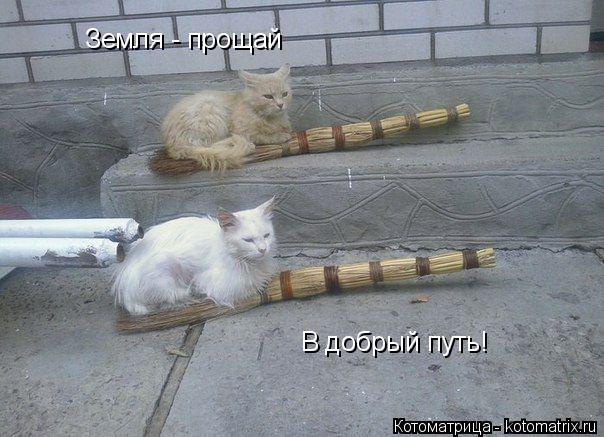 Земля - прощай В добрый путь!... Котоматрица: Земля - прощай В добрый путь!