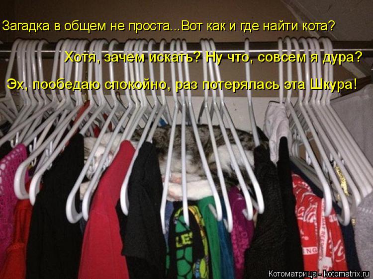 Загадка в общем не проста...Вот как и где найти кота? Хотя, зачем искать? Ну что, совсем я дура? Эх, ... Котоматрица: Загадка в общем не проста...Вот как и где найти кота? Хотя, зачем искать? Ну что, совсем я дура? Эх, пообедаю спокойно, раз потерялась эта Шкура!