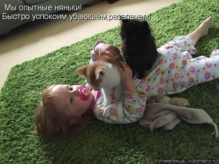 Мы опытные няньки! Быстро успокоим,убаюкаем,развлечем!... Котоматрица: Мы опытные няньки! Быстро успокоим,убаюкаем,развлечем!
