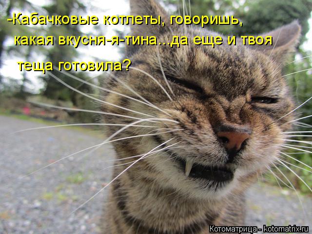 -Кабачковые котлеты, говоришь, какая вкусня-я-тина...да еще и твоя теща готовила?... Котоматрица: -Кабачковые котлеты, говоришь, какая вкусня-я-тина...да еще и твоя теща готовила?