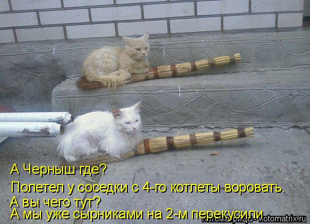 Полетел у соседки с 4-го котлеты воровать. А Черныш где? А вы чего тут? А мы уже сырниками на 2-м пе... Котоматрица: Полетел у соседки с 4-го котлеты воровать. А Черныш где? А вы чего тут? А мы уже сырниками на 2-м перекусили