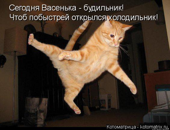 Сегодня Васенька - будильник! Чтоб побыстрей открылся холодильник!... Котоматрица: Сегодня Васенька - будильник! Чтоб побыстрей открылся холодильник!