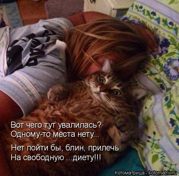 Вот чего тут увалилась? Одному-то места нету... Нет пойти бы, блин, прилечь На свободную ...диету!!!... Котоматрица: Вот чего тут увалилась? Одному-то места нету... Нет пойти бы, блин, прилечь На свободную ...диету!!!
