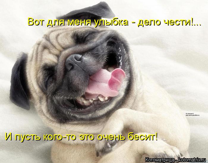 Вот для меня улыбка - дело чести!... И пусть кого-то это очень бесит!... Котоматрица: Вот для меня улыбка - дело чести!... И пусть кого-то это очень бесит!
