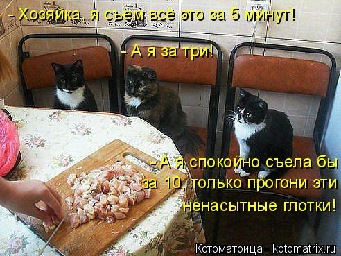 - А я за три! - А я спокойно съела бы за 10, только прогони эти ненасытные глотки! - Хозяйка, я съем ... Котоматрица: - А я за три! - А я спокойно съела бы за 10, только прогони эти ненасытные глотки! - Хозяйка, я съем всё это за 5 минут!