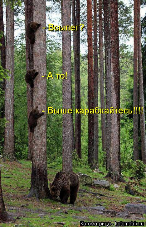 - Всыпет? - А то! - Выше карабкайтесь!!!!... Котоматрица: - Всыпет? - А то! - Выше карабкайтесь!!!!