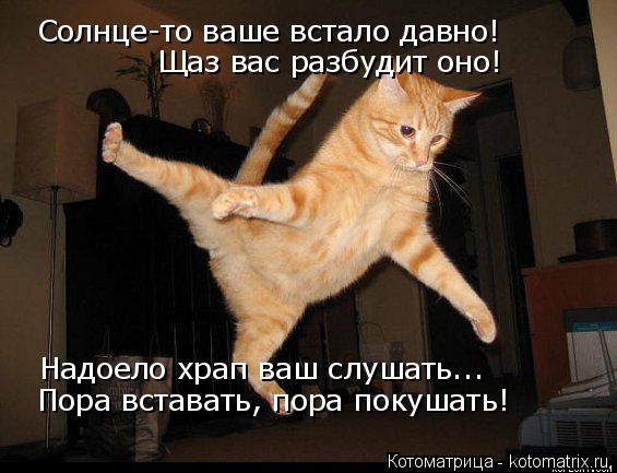Солнце-то ваше встало давно! Надоело храп ваш слушать... Пора вставать, пора покушать! Щаз вас разбу... Котоматрица: Солнце-то ваше встало давно! Надоело храп ваш слушать... Пора вставать, пора покушать! Щаз вас разбудит оно!