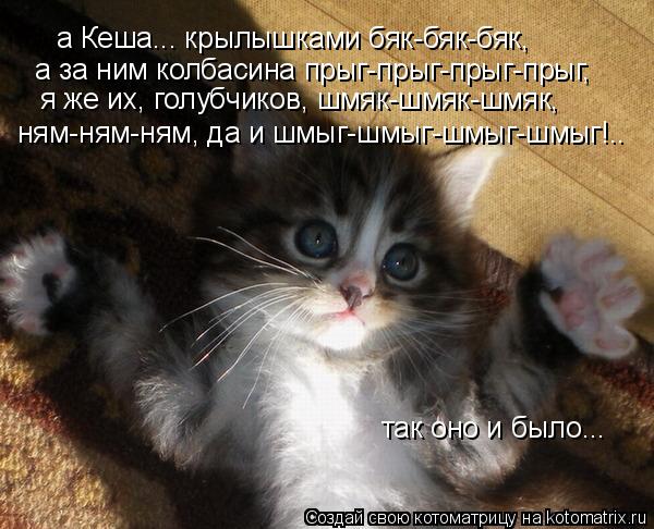 а Кеша... крылышками бяк-бяк-бяк, а за ним колбасина прыг-прыг-прыг-прыг, я же их, голубчиков, шмяк-ш... Котоматрица: а Кеша... крылышками бяк-бяк-бяк, а за ним колбасина прыг-прыг-прыг-прыг, я же их, голубчиков, шмяк-шмяк-шмяк, ням-ням-ням, да и шмыг-шмыг-шмыг-шм