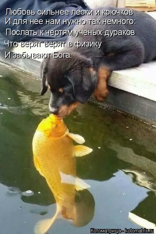Любовь сильнее лески и крючков Что верят верят в физику И забывают Бога. И для нее нам нужно так немн... Котоматрица: Любовь сильнее лески и крючков Что верят верят в физику И забывают Бога. И для нее нам нужно так немного: Послать к чертям ученых дураков