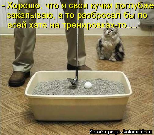 - Хорошо, что я свои кучки поглубже закапываю, а то разбросал бы по всей хате на тренировках-то....... Котоматрица: - Хорошо, что я свои кучки поглубже закапываю, а то разбросал бы по всей хате на тренировках-то....