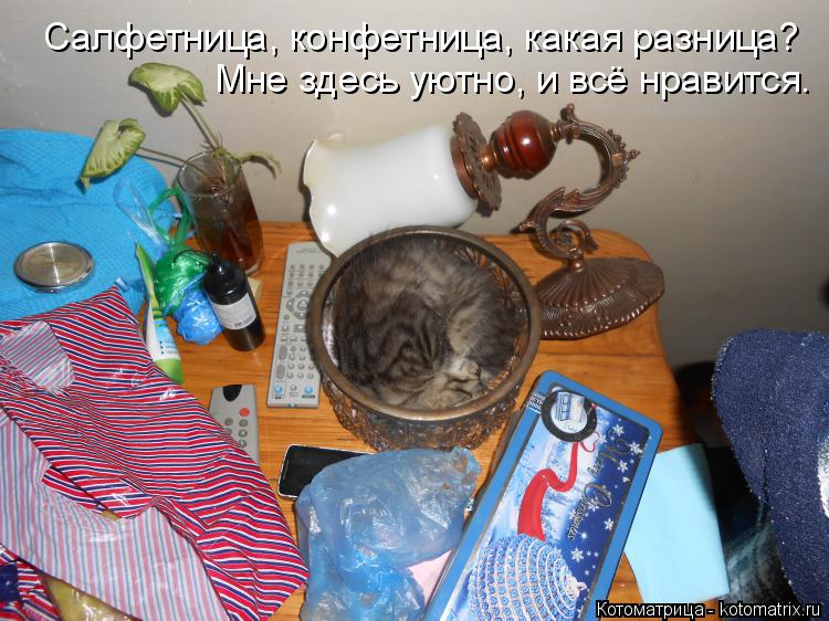 Мне здесь уютно, и всё нравится. Салфетница, конфетница, какая разница?... Котоматрица: Мне здесь уютно, и всё нравится. Салфетница, конфетница, какая разница?