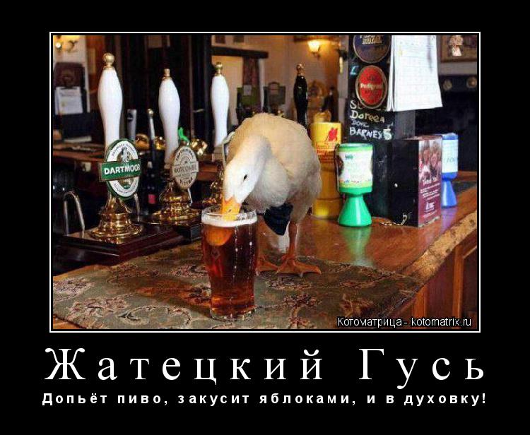 Жатецкий Гусь Д о п ь ё т п и в о , з а к у с и т я б л о к а м и , и в д у х о в к у !... Котоматрица: Жатецкий Гусь Д о п ь ё т п и в о , з а к у с и т я б л о к а м и , и в д у х о в к у !