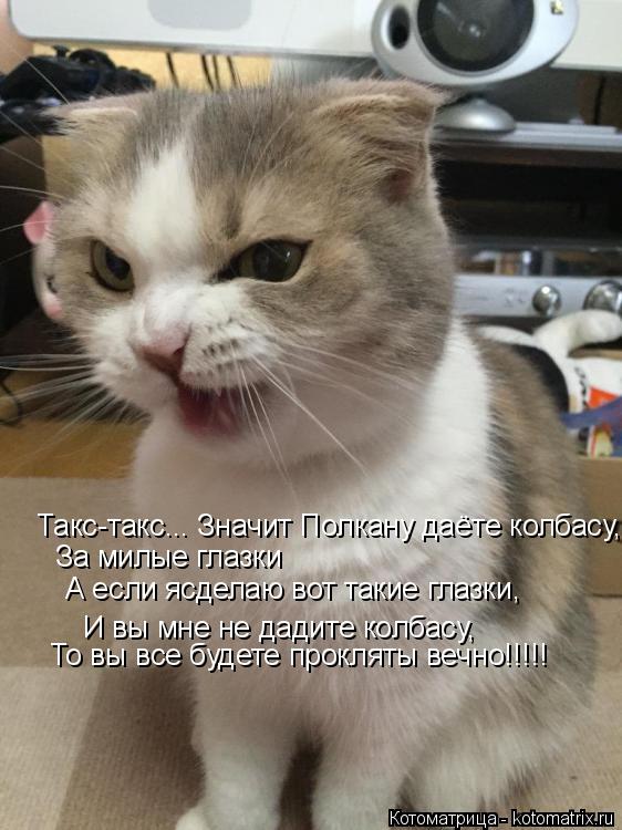 Такс-такс... Значит Полкану даёте колбасу, За милые глазки А если ясделаю вот такие глазки, И вы мне... Котоматрица: Такс-такс... Значит Полкану даёте колбасу, За милые глазки А если ясделаю вот такие глазки, И вы мне не дадите колбасу, То вы все будете прокл