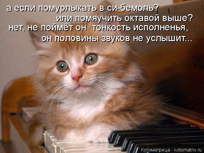 а если помурлыкать в си-бемоль? или помяучить октавой выше? нет, не поймёт он тонкость исполненья, о... Котоматрица: а если помурлыкать в си-бемоль? или помяучить октавой выше? нет, не поймёт он тонкость исполненья, он половины звуков не услышит...