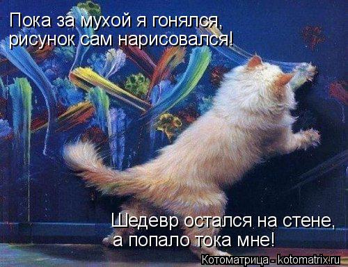 Пока за мухой я гонялся, рисунок сам нарисовался! Шедевр остался на стене, а попало тока мне!... Котоматрица: Пока за мухой я гонялся, рисунок сам нарисовался! Шедевр остался на стене, а попало тока мне!