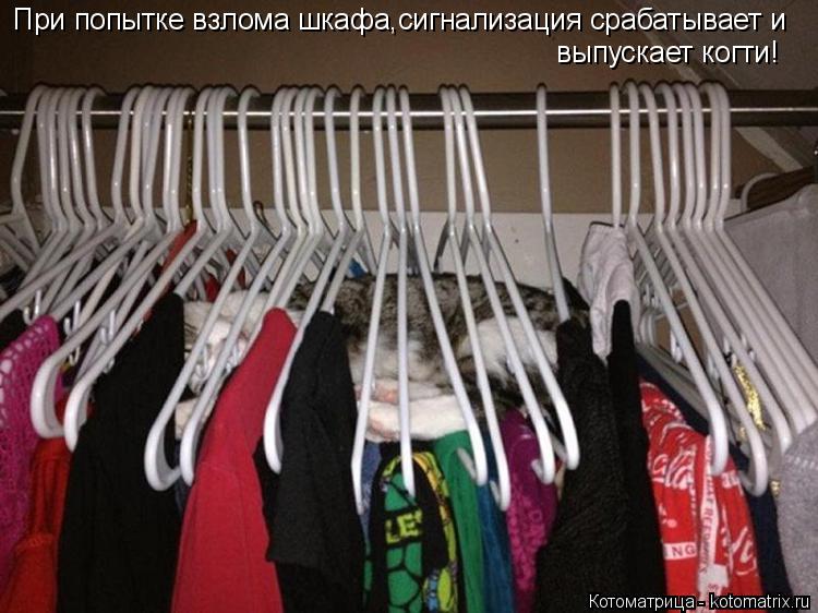 При попытке взлома шкафа,сигнализация срабатывает и выпускает когти!... Котоматрица: При попытке взлома шкафа,сигнализация срабатывает и выпускает когти!