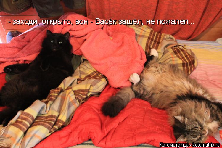 - заходи, открыто, вон - Васёк зашёл, не пожалел...... Котоматрица: - заходи, открыто, вон - Васёк зашёл, не пожалел...