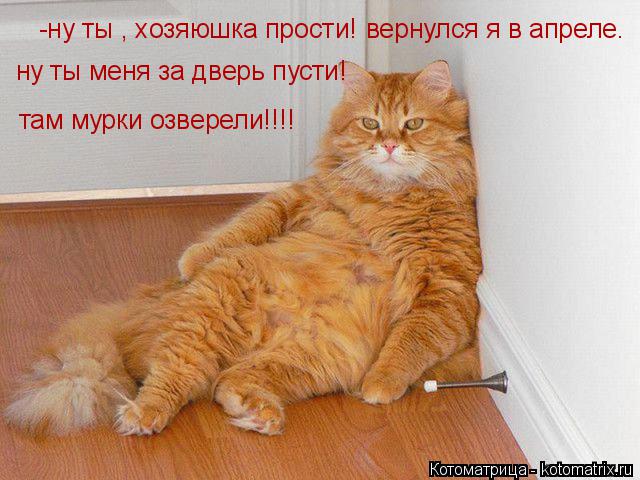 -ну ты , хозяюшка прости! вернулся я в апреле. ну ты меня за дверь пусти1 ну ты меня за дверь пусти! ... Котоматрица: -ну ты , хозяюшка прости! вернулся я в апреле. ну ты меня за дверь пусти1 ну ты меня за дверь пусти! там мурки озверели!!!!