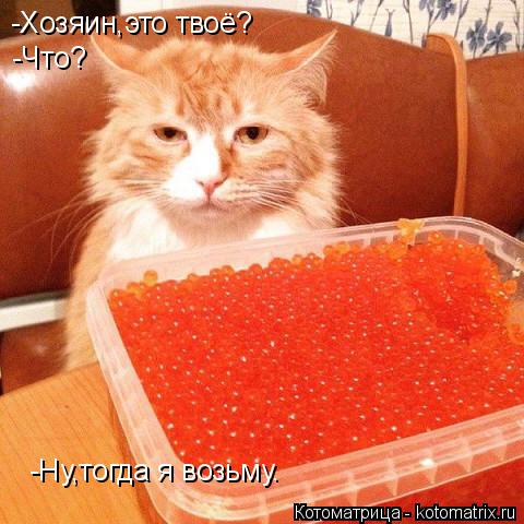 -Хозяин,это твоё? -Что? -Ну,тогда я возьму.... Котоматрица: -Хозяин,это твоё? -Что? -Ну,тогда я возьму.