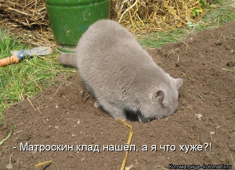 - Матроскин клад нашёл, а я что хуже?!... Котоматрица: - Матроскин клад нашёл, а я что хуже?!