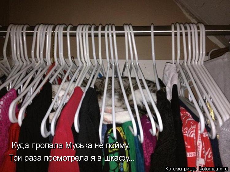 Куда пропала Муська не пойму, Три раза посмотрела я в шкафу...... Котоматрица: Куда пропала Муська не пойму, Три раза посмотрела я в шкафу...