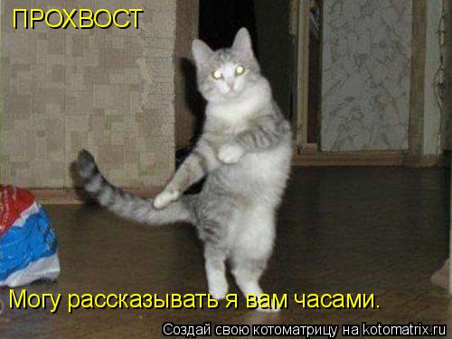 ПРОХВОСТ Могу рассказывать я вам часами.... Котоматрица: ПРОХВОСТ Могу рассказывать я вам часами.