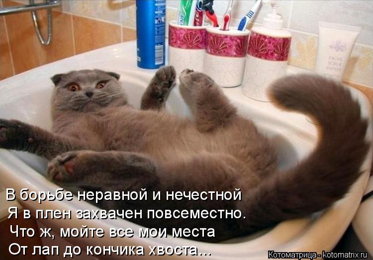 В борьбе неравной и нечестной Я в плен захвачен повсеместно. Что ж, мойте все мои места От лап до кон... Котоматрица: В борьбе неравной и нечестной Я в плен захвачен повсеместно. Что ж, мойте все мои места От лап до кончика хвоста...
