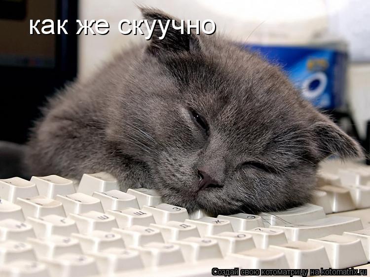 как же скуучно... Котоматрица: как же скуучно
