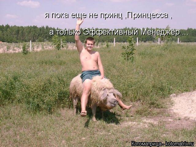 а только Эффективный Менеджер ... я пока еще не принц ,Принцесса ,... Котоматрица: а только Эффективный Менеджер ... я пока еще не принц ,Принцесса ,